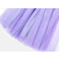 #ZP2204007  Girls' 3D Sequin Butterfly Tutu Dress - Sleeveless Easter Birthday Party Princess Tulle Dress for Toddler & Little Girls (Ages 3–7 Years)