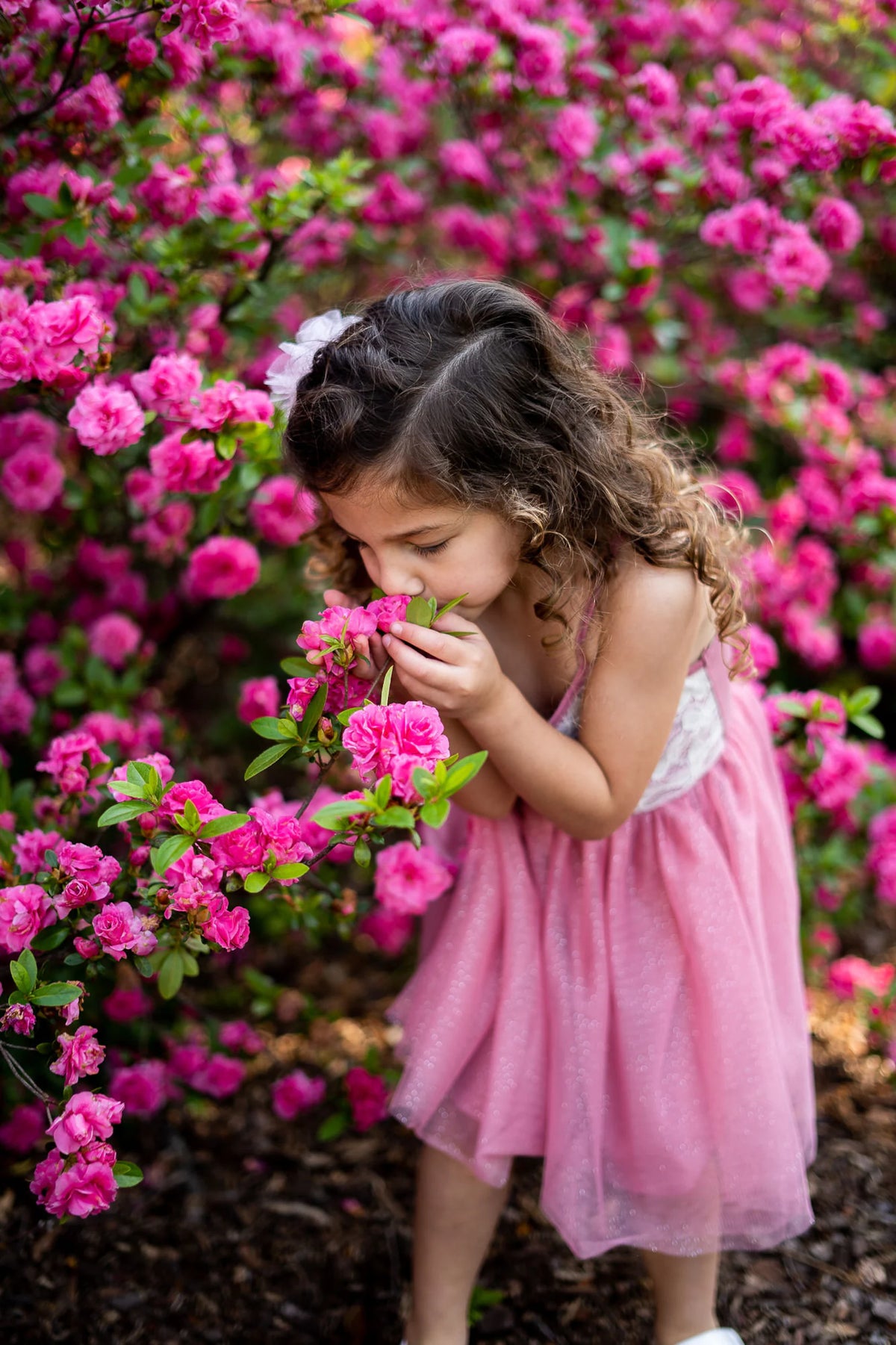 #TL2207006 Dusty Rose Butterfly Lace Tutu Dress